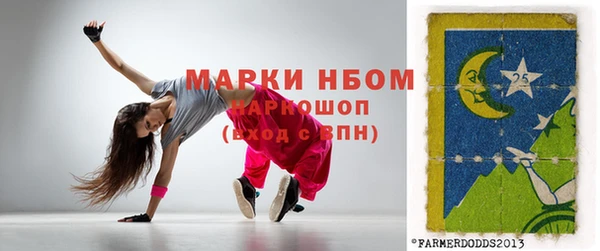 ПСИЛОЦИБИНОВЫЕ ГРИБЫ Гусев