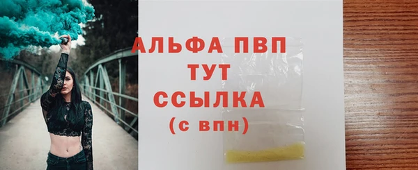 гашик Гусиноозёрск