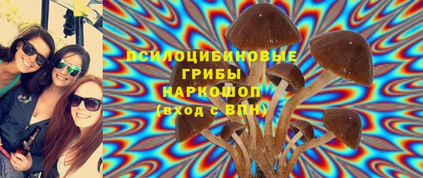 гашик Гусиноозёрск