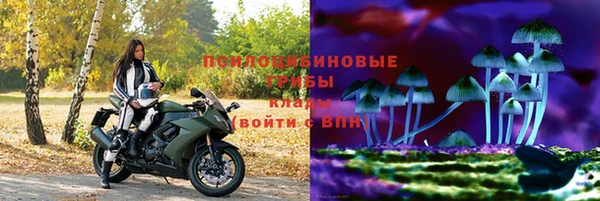 хмурый Горняк